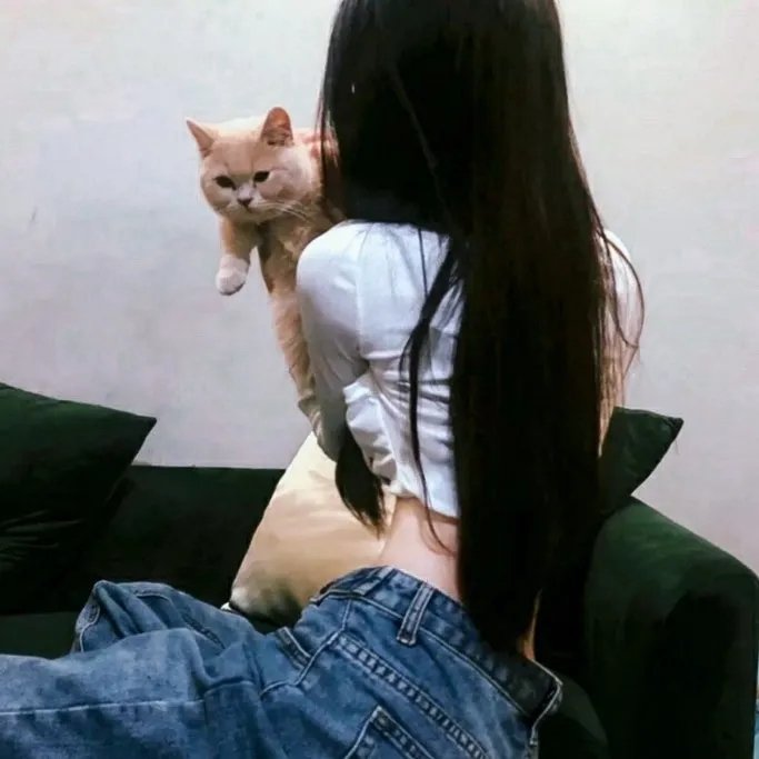 战地奇女子
